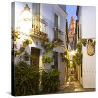 Spain, Andalusia, Cordoba. Calleja De Las Flores (Street of the Flowers) in the Old Town, at Dusk-Matteo Colombo-Stretched Canvas