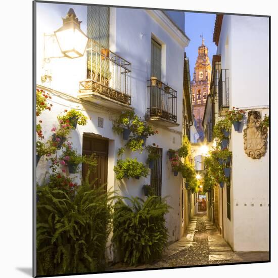 Spain, Andalusia, Cordoba. Calleja De Las Flores (Street of the Flowers) in the Old Town, at Dusk-Matteo Colombo-Mounted Photographic Print