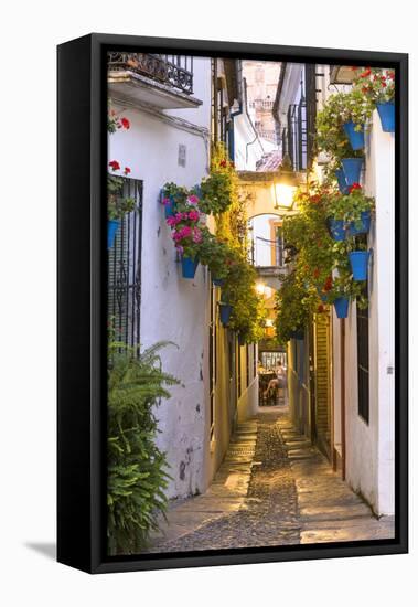 Spain, Andalusia, Cordoba. Calleja De Las Flores (Street of the Flowers) in the Old Town, at Dusk-Matteo Colombo-Framed Stretched Canvas