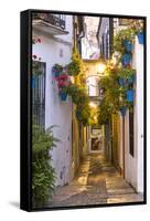 Spain, Andalusia, Cordoba. Calleja De Las Flores (Street of the Flowers) in the Old Town, at Dusk-Matteo Colombo-Framed Stretched Canvas