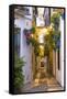 Spain, Andalusia, Cordoba. Calleja De Las Flores (Street of the Flowers) in the Old Town, at Dusk-Matteo Colombo-Framed Stretched Canvas