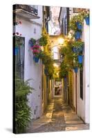 Spain, Andalusia, Cordoba. Calleja De Las Flores (Street of the Flowers) in the Old Town, at Dusk-Matteo Colombo-Stretched Canvas