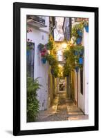 Spain, Andalusia, Cordoba. Calleja De Las Flores (Street of the Flowers) in the Old Town, at Dusk-Matteo Colombo-Framed Premium Photographic Print