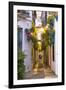 Spain, Andalusia, Cordoba. Calleja De Las Flores (Street of the Flowers) in the Old Town, at Dusk-Matteo Colombo-Framed Premium Photographic Print