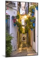 Spain, Andalusia, Cordoba. Calleja De Las Flores (Street of the Flowers) in the Old Town, at Dusk-Matteo Colombo-Mounted Photographic Print