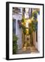 Spain, Andalusia, Cordoba. Calleja De Las Flores (Street of the Flowers) in the Old Town, at Dusk-Matteo Colombo-Framed Photographic Print