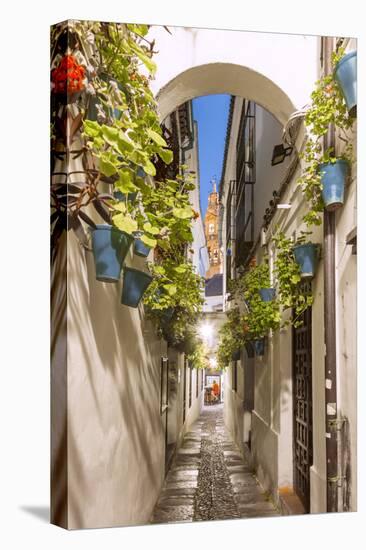 Spain, Andalusia, Cordoba. Calleja De Las Flores (Street of the Flowers) in the Old Town, at Dusk-Matteo Colombo-Stretched Canvas