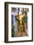 Spain, Andalusia, Cordoba. Calleja De Las Flores (Street of the Flowers) in the Old Town, at Dusk-Matteo Colombo-Framed Photographic Print