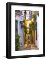 Spain, Andalusia, Cordoba. Calleja De Las Flores (Street of the Flowers) in the Old Town, at Dusk-Matteo Colombo-Framed Photographic Print