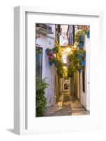 Spain, Andalusia, Cordoba. Calleja De Las Flores (Street of the Flowers) in the Old Town, at Dusk-Matteo Colombo-Framed Photographic Print