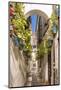 Spain, Andalusia, Cordoba. Calleja De Las Flores (Street of the Flowers) in the Old Town, at Dusk-Matteo Colombo-Mounted Photographic Print