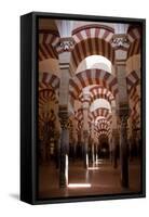 Spain, Andalusia, Cordoba, Cathedral–Mosque of Cordoba, Original Mosque, Arched Aisles-Samuel Magal-Framed Stretched Canvas