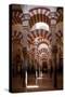 Spain, Andalusia, Cordoba, Cathedral–Mosque of Cordoba, Original Mosque, Arched Aisles-Samuel Magal-Stretched Canvas