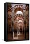 Spain, Andalusia, Cordoba, Cathedral–Mosque of Cordoba, Original Mosque, Arched Aisles-Samuel Magal-Framed Stretched Canvas