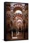 Spain, Andalusia, Cordoba, Cathedral–Mosque of Cordoba, Original Mosque, Arched Aisles-Samuel Magal-Framed Stretched Canvas