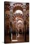 Spain, Andalusia, Cordoba, Cathedral–Mosque of Cordoba, Original Mosque, Arched Aisles-Samuel Magal-Stretched Canvas