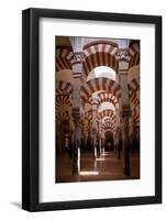 Spain, Andalusia, Cordoba, Cathedral–Mosque of Cordoba, Original Mosque, Arched Aisles-Samuel Magal-Framed Photographic Print