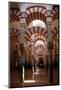 Spain, Andalusia, Cordoba, Cathedral–Mosque of Cordoba, Original Mosque, Arched Aisles-Samuel Magal-Mounted Photographic Print