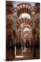 Spain, Andalusia, Cordoba, Cathedral–Mosque of Cordoba, Original Mosque, Arched Aisles-Samuel Magal-Mounted Photographic Print