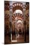 Spain, Andalusia, Cordoba, Cathedral–Mosque of Cordoba, Original Mosque, Arched Aisles-Samuel Magal-Mounted Photographic Print