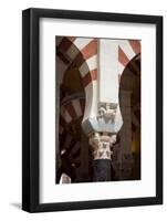 Spain, Andalusia, Cordoba, Cathedral–Mosque of Cordoba, Original Mosque, Column Relief-Samuel Magal-Framed Photographic Print