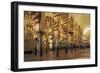 Spain, Andalusia, Cordoba Great Mosque of Cordoba, Christian Cathedral Since 1236-null-Framed Giclee Print