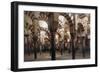 Spain, Andalusia, Cordoba, Historic Centre, Great Mosque or Mezquita-null-Framed Giclee Print