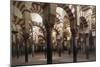 Spain, Andalusia, Cordoba, Historic Centre, Great Mosque or Mezquita-null-Mounted Giclee Print