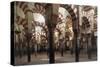 Spain, Andalusia, Cordoba, Historic Centre, Great Mosque or Mezquita-null-Stretched Canvas