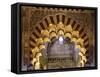 Spain, Andalusia, Cordoba. Interior of the Mezquita (Mosque) of Cordoba-Matteo Colombo-Framed Stretched Canvas
