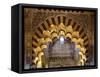 Spain, Andalusia, Cordoba. Interior of the Mezquita (Mosque) of Cordoba-Matteo Colombo-Framed Stretched Canvas