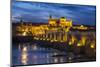 Spain, Andalusia. Cordoba. Roman bridge across the Guadalquivir river at dusk.-Brenda Tharp-Mounted Photographic Print