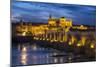 Spain, Andalusia. Cordoba. Roman bridge across the Guadalquivir river at dusk.-Brenda Tharp-Mounted Photographic Print