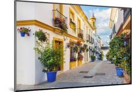 Spain, Andalusia, Estepona, Old town, Nuestra Senora de Los Remedios Church-Jordan Banks-Mounted Photographic Print