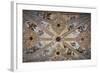 Spain, Andalusia, Granada, Alhambra Palace, Decorated Ceiling-Samuel Magal-Framed Photographic Print