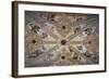 Spain, Andalusia, Granada, Alhambra Palace, Decorated Ceiling-Samuel Magal-Framed Photographic Print