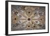 Spain, Andalusia, Granada, Alhambra Palace, Decorated Ceiling-Samuel Magal-Framed Photographic Print