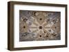 Spain, Andalusia, Granada, Alhambra Palace, Decorated Ceiling-Samuel Magal-Framed Photographic Print