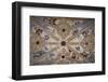 Spain, Andalusia, Granada, Alhambra Palace, Decorated Ceiling-Samuel Magal-Framed Photographic Print