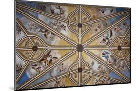 Spain, Andalusia, Granada, Alhambra Palace, Decorated Ceiling-Samuel Magal-Mounted Photographic Print