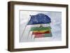 Spain, Andalusia, Granada. Flags on the Vela Tower, the Alhambra-Kevin Oke-Framed Photographic Print