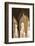 Spain, Andalusia, Granada. the Alhambra. Ornate Arches Inside the Alhambra-Matteo Colombo-Framed Photographic Print