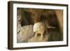 Spain, Andalusia, Roman Necropolis of Carmona, Elephant Statue in Funerary Chamber at Elephant Tomb-null-Framed Giclee Print