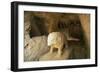 Spain, Andalusia, Roman Necropolis of Carmona, Elephant Statue in Funerary Chamber at Elephant Tomb-null-Framed Giclee Print