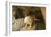 Spain, Andalusia, Roman Necropolis of Carmona, Elephant Statue in Funerary Chamber at Elephant Tomb-null-Framed Giclee Print