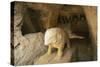 Spain, Andalusia, Roman Necropolis of Carmona, Elephant Statue in Funerary Chamber at Elephant Tomb-null-Stretched Canvas