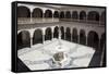 Spain, Andalusia, Sevilla, House of Pilate, Cloister and Fountain-Samuel Magal-Framed Stretched Canvas