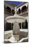 Spain, Andalusia, Sevilla, House of Pilate, Cloister, Fountain-Samuel Magal-Mounted Photographic Print