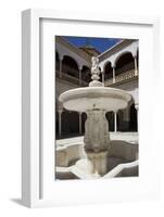 Spain, Andalusia, Sevilla, House of Pilate, Cloister, Fountain-Samuel Magal-Framed Photographic Print