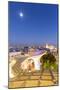 Spain, Andalusia, Seville. Metropol Parasol Structure and City at Dusk-Matteo Colombo-Mounted Photographic Print